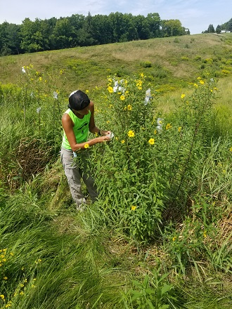 Nora Mitchelle in a black hat, green shirt, and tan pants in a field looking at a plant with yellow flowers